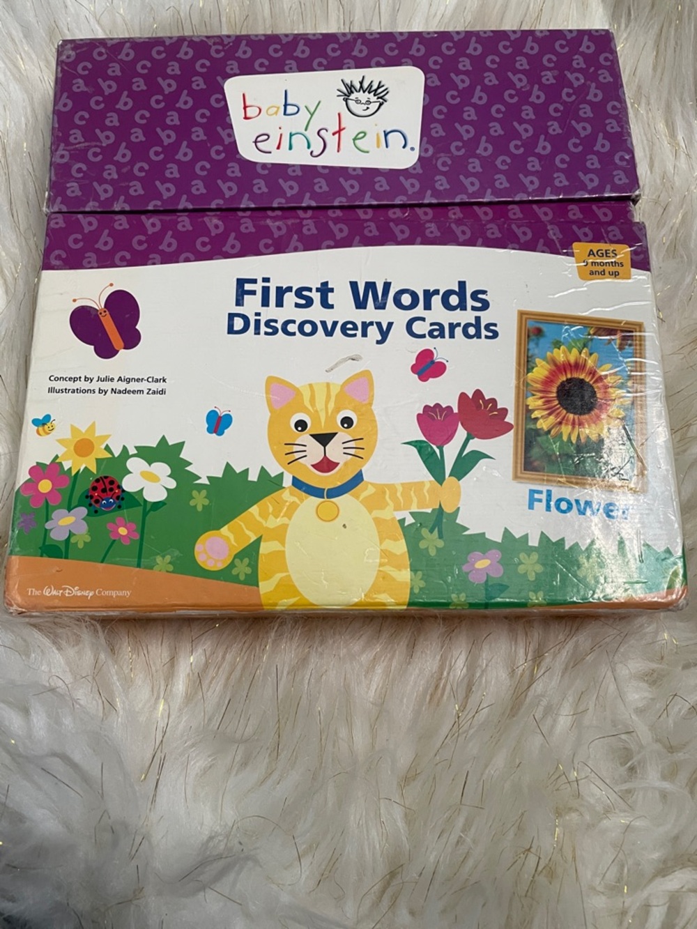First Words Discovery Cards - Purple & White